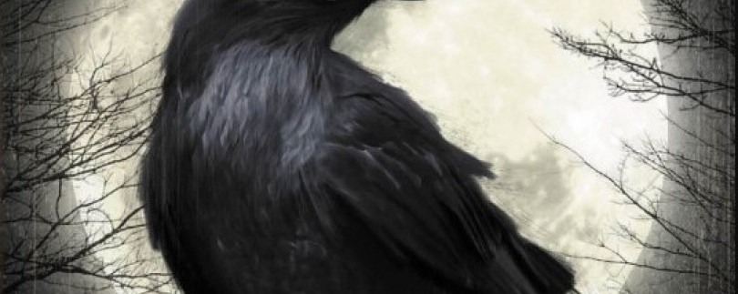 «Истории Ворона» - европокет